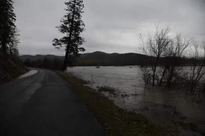 DSC_5791 (Large).JPG